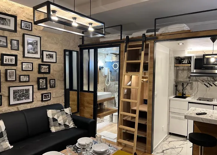 公寓 Loft Jaures *